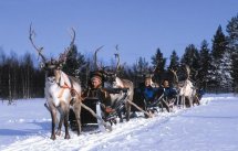 Zimowa zabawa w Rovaniemi - zaprzęg reniferowy